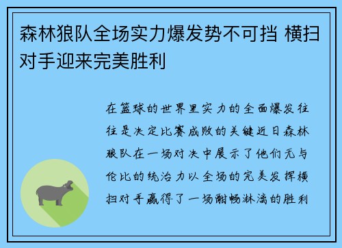 森林狼队全场实力爆发势不可挡 横扫对手迎来完美胜利