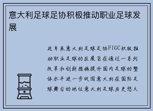 意大利足球足协积极推动职业足球发展