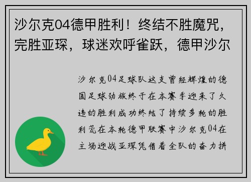 沙尔克04德甲胜利！终结不胜魔咒，完胜亚琛，球迷欢呼雀跃，德甲沙尔克04怎么了