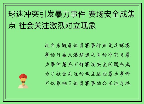 球迷冲突引发暴力事件 赛场安全成焦点 社会关注激烈对立现象