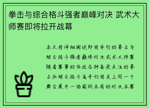 拳击与综合格斗强者巅峰对决 武术大师赛即将拉开战幕